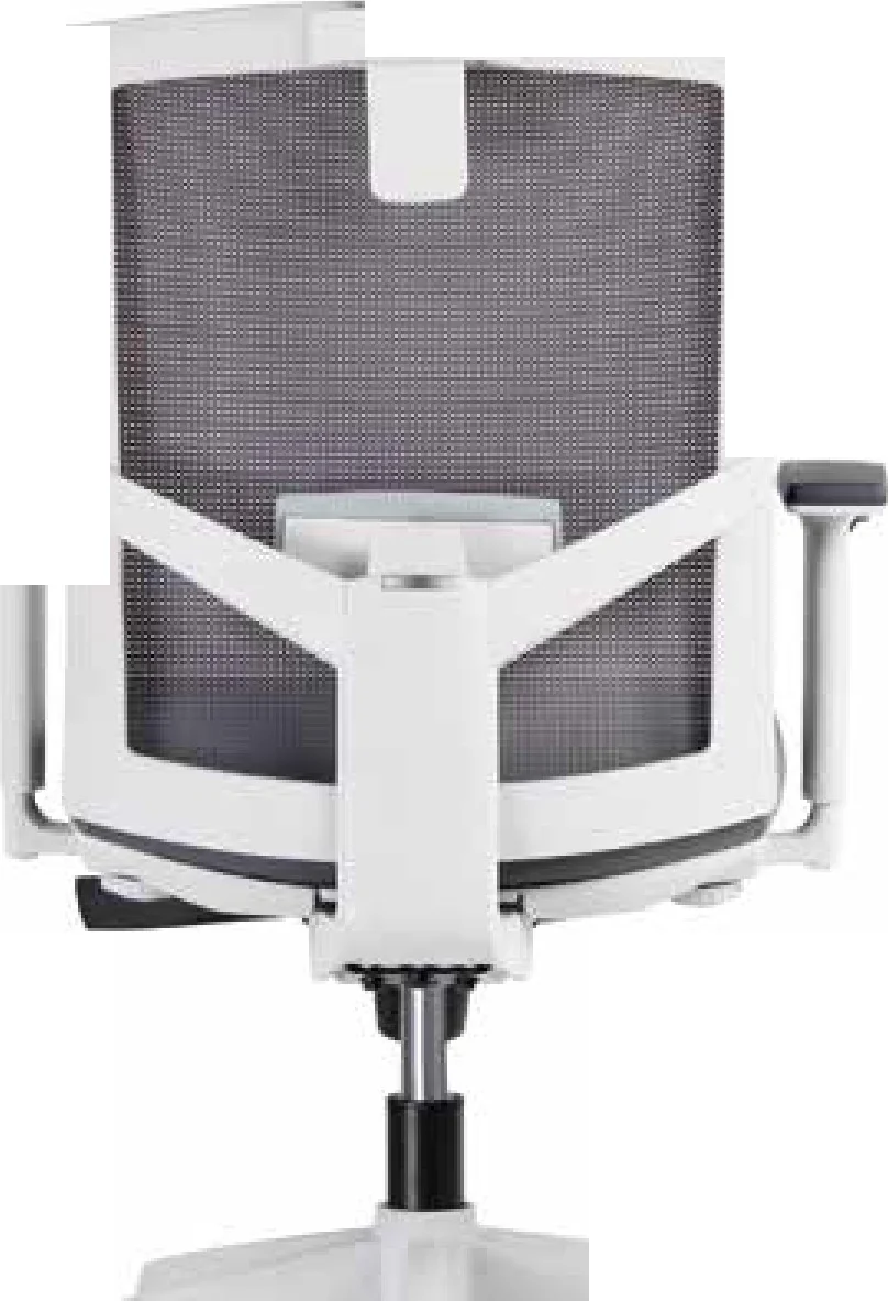 I-Free seen from a second angle