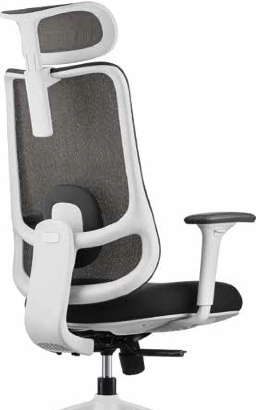 Stylen, chair, seating furniture