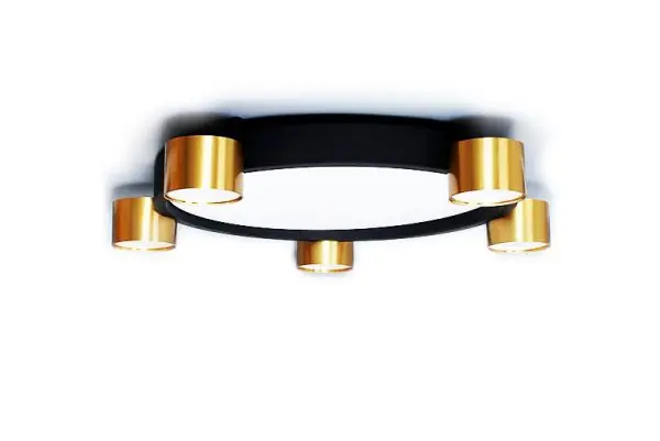 NIKORound 5, ring, ceiling surface lighting