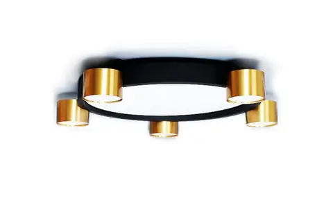 NIKORound 5, ring, ceiling surface lighting