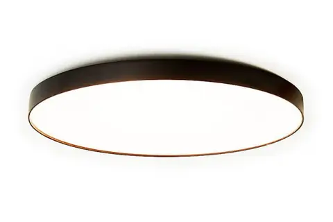 RingSeries, ring, ceiling surface lighting
